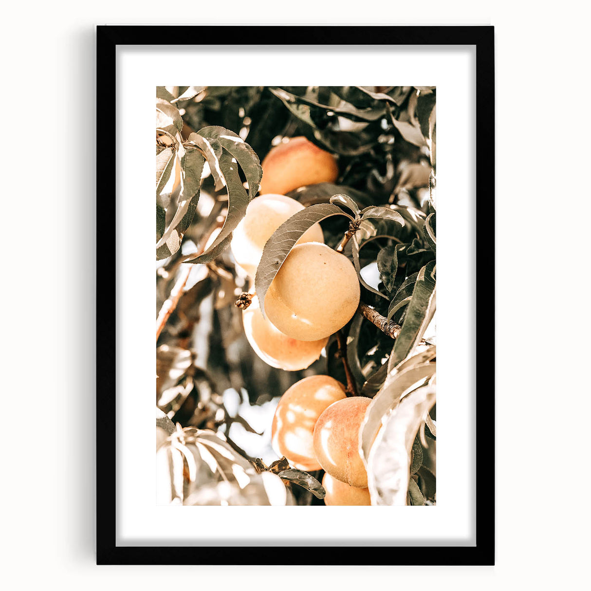 Farmhouse Wall Art - Rustic Farmhouse Decor with Fruit Tree Close-Up