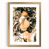 Farmhouse Wall Art - Rustic Farmhouse Decor with Fruit Tree Close-Up