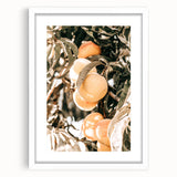 Farmhouse Wall Art - Rustic Farmhouse Decor with Fruit Tree Close-Up