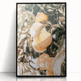 Farmhouse Wall Art - Rustic Farmhouse Decor with Fruit Tree Close-Up