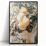 Farmhouse Wall Art - Rustic Farmhouse Decor with Fruit Tree Close-Up
