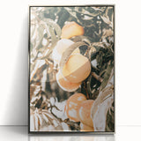 Farmhouse Wall Art - Rustic Farmhouse Decor with Fruit Tree Close-Up