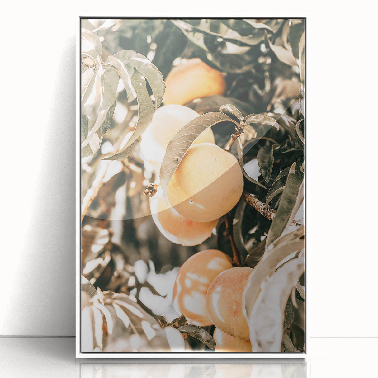 Farmhouse Wall Art - Rustic Farmhouse Decor with Fruit Tree Close-Up