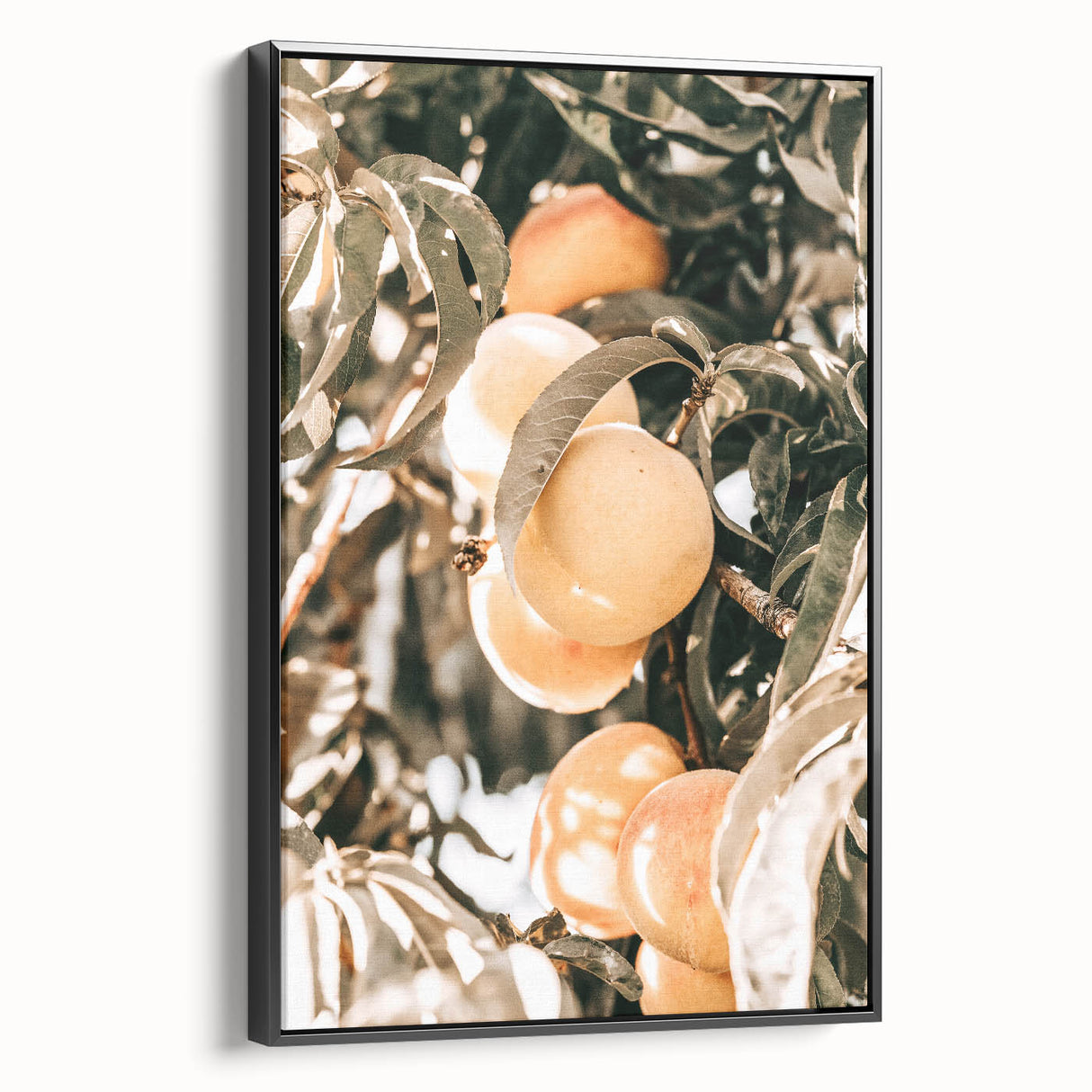Farmhouse Wall Art - Rustic Farmhouse Decor with Fruit Tree Close-Up