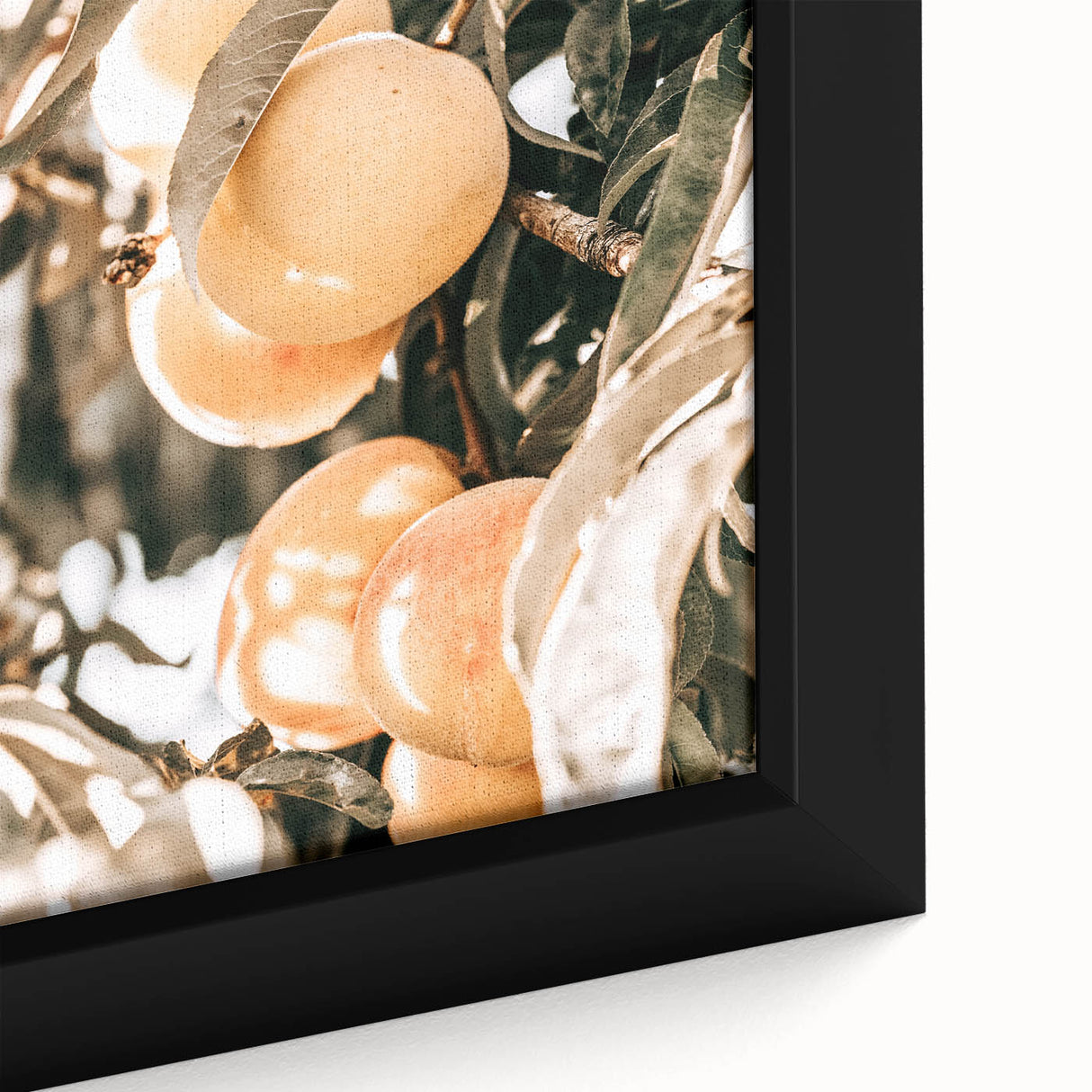 Farmhouse Wall Art - Rustic Farmhouse Decor with Fruit Tree Close-Up