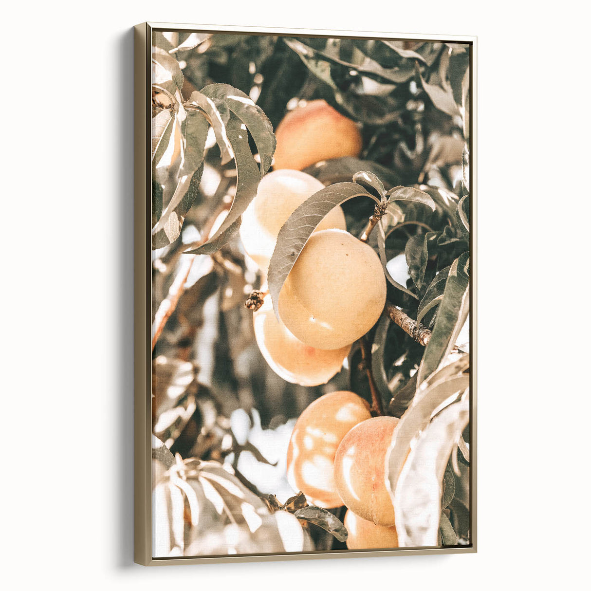 Farmhouse Wall Art - Rustic Farmhouse Decor with Fruit Tree Close-Up