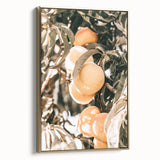 Farmhouse Wall Art - Rustic Farmhouse Decor with Fruit Tree Close-Up