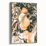 Farmhouse Wall Art - Rustic Farmhouse Decor with Fruit Tree Close-Up