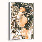 Farmhouse Wall Art - Rustic Farmhouse Decor with Fruit Tree Close-Up