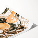 Farmhouse Wall Art - Rustic Farmhouse Decor with Fruit Tree Close-Up