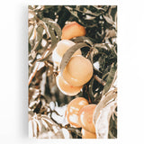 Farmhouse Wall Art - Rustic Farmhouse Decor with Fruit Tree Close-Up