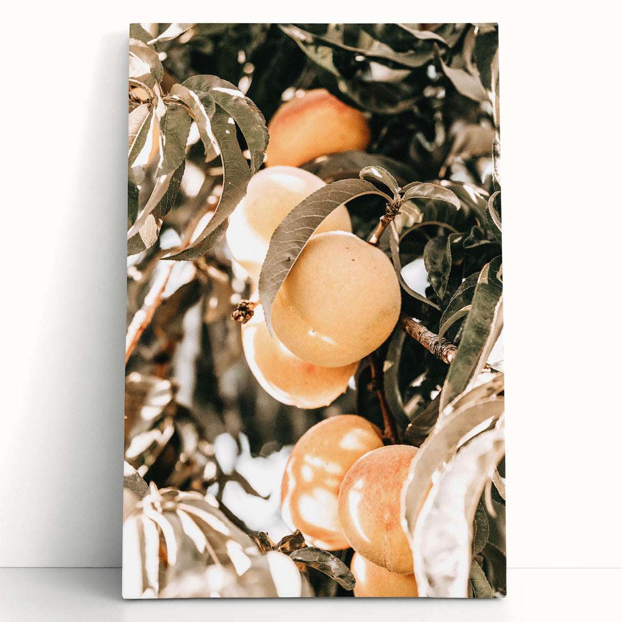 Farmhouse Wall Art - Rustic Farmhouse Decor with Fruit Tree Close-Up