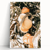 Farmhouse Wall Art - Rustic Farmhouse Decor with Fruit Tree Close-Up