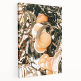 Farmhouse Wall Art - Rustic Farmhouse Decor with Fruit Tree Close-Up