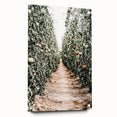 Farmhouse Wall Art - Rustic Farmhouse Decor with Tomato Field View