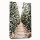 Farmhouse Wall Art - Rustic Farmhouse Decor with Tomato Field View