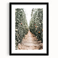 Farmhouse Wall Art - Rustic Farmhouse Decor with Tomato Field View