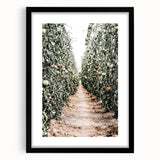Farmhouse Wall Art - Rustic Farmhouse Decor with Tomato Field View