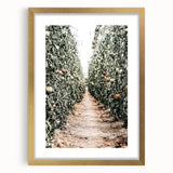 Farmhouse Wall Art - Rustic Farmhouse Decor with Tomato Field View