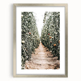 Farmhouse Wall Art - Rustic Farmhouse Decor with Tomato Field View