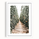Farmhouse Wall Art - Rustic Farmhouse Decor with Tomato Field View