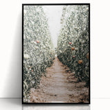 Farmhouse Wall Art - Rustic Farmhouse Decor with Tomato Field View