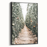 Farmhouse Wall Art - Rustic Farmhouse Decor with Tomato Field View