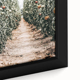 Farmhouse Wall Art - Rustic Farmhouse Decor with Tomato Field View