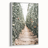 Farmhouse Wall Art - Rustic Farmhouse Decor with Tomato Field View