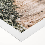 Farmhouse Wall Art - Rustic Farmhouse Decor with Tomato Field View