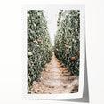 Farmhouse Wall Art - Rustic Farmhouse Decor with Tomato Field View