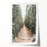 Farmhouse Wall Art - Rustic Farmhouse Decor with Tomato Field View