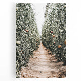 Farmhouse Wall Art - Rustic Farmhouse Decor with Tomato Field View