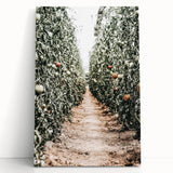 Farmhouse Wall Art - Rustic Farmhouse Decor with Tomato Field View