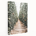 Farmhouse Wall Art - Rustic Farmhouse Decor with Tomato Field View
