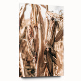 Rustic Farmhouse Wall Art – Dried Corn Stalks Print for Country Decor