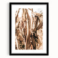 Rustic Farmhouse Wall Art – Dried Corn Stalks Print for Country Decor