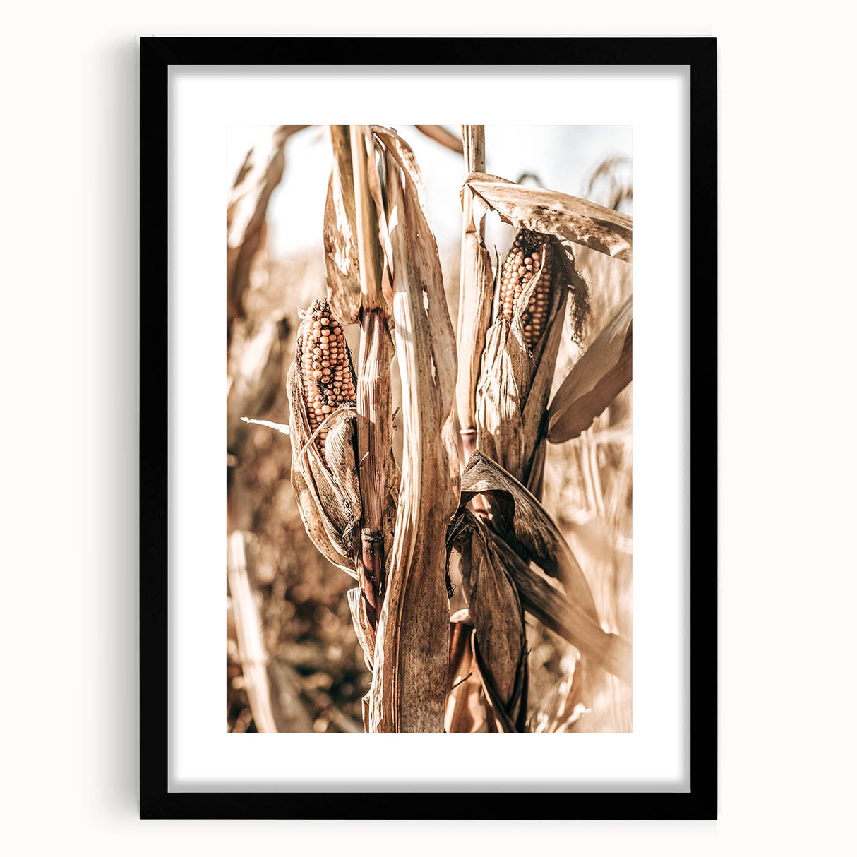 Rustic Farmhouse Wall Art – Dried Corn Stalks Print for Country Decor