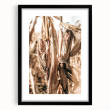 Rustic Farmhouse Wall Art – Dried Corn Stalks Print for Country Decor