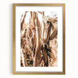 Rustic Farmhouse Wall Art – Dried Corn Stalks Print for Country Decor