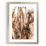 Rustic Farmhouse Wall Art – Dried Corn Stalks Print for Country Decor
