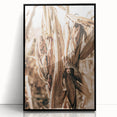 Rustic Farmhouse Wall Art – Dried Corn Stalks Print for Country Decor