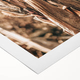 Rustic Farmhouse Wall Art – Dried Corn Stalks Print for Country Decor