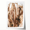Rustic Farmhouse Wall Art – Dried Corn Stalks Print for Country Decor