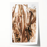 Rustic Farmhouse Wall Art – Dried Corn Stalks Print for Country Decor