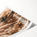 Rustic Farmhouse Wall Art – Dried Corn Stalks Print for Country Decor