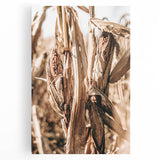 Rustic Farmhouse Wall Art – Dried Corn Stalks Print for Country Decor