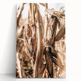 Rustic Farmhouse Wall Art – Dried Corn Stalks Print for Country Decor