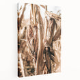 Rustic Farmhouse Wall Art – Dried Corn Stalks Print for Country Decor