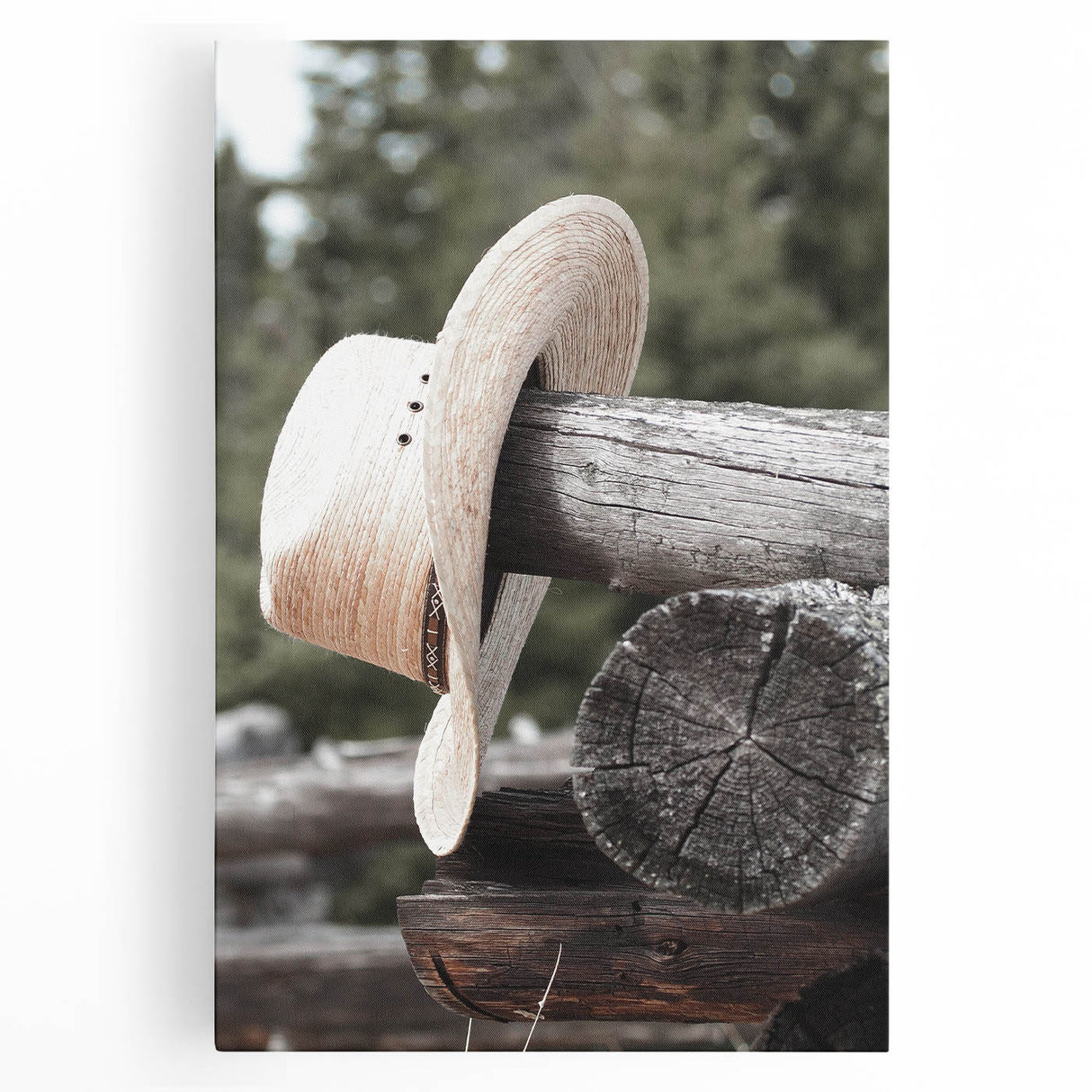 Rustic Cowboy Hat Wall Art | Farmhouse Decor | Country Style Print